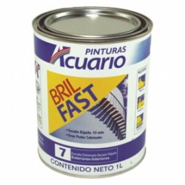 ACUARIO ESMALTE BRIL FAST GALON 4L